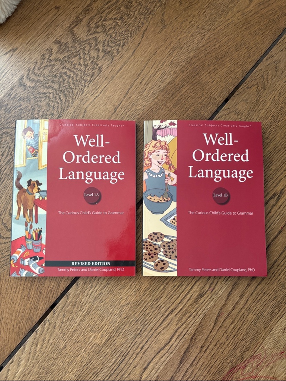 NEW Well-Ordered Language Level 1A & 1B | Classical Homeschool Grammar ELA